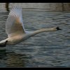 299_9967